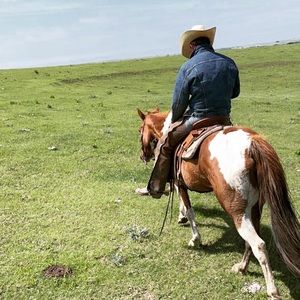 Meet your Posher, Seth